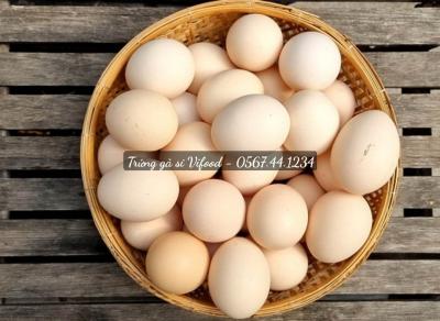 Các món bánh làm từ trứng gà ăn một lần nhớ mãi