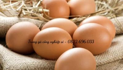 Cách Phân Biệt Trứng Gà Ta Và Trứng Gà Công Nghiệp Chuẩn