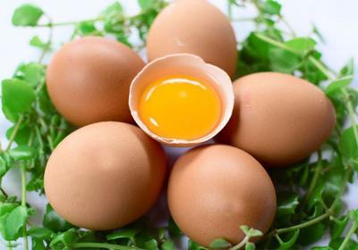 Trứng Gà 18 ký - cỡ 52-50 gram